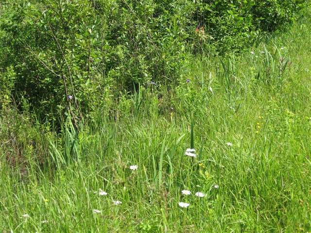 On On Mcnaughton Lane Rhinelander, WI 54501 - Photo 5 of 15 Gallery Image 5