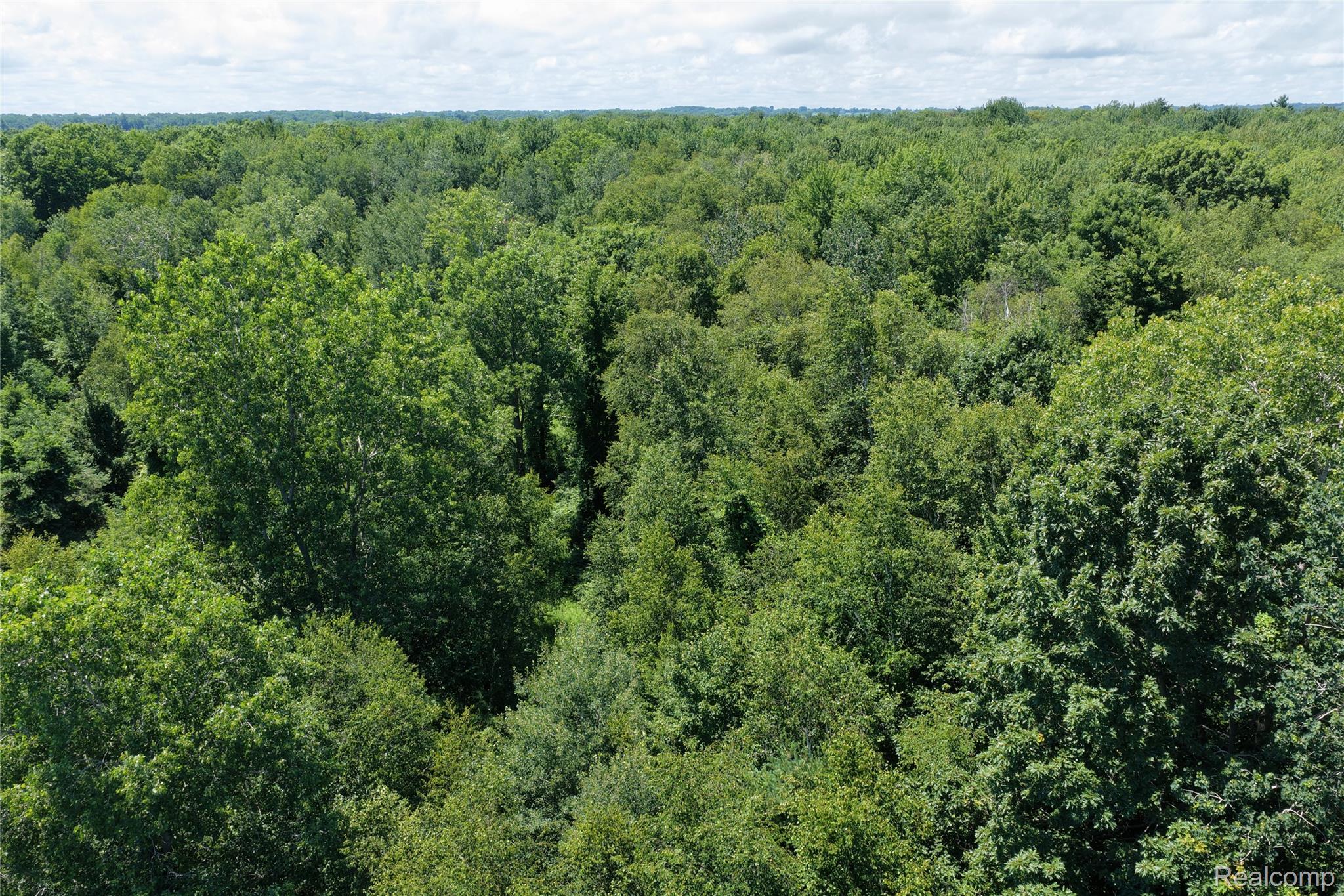0 Lakeshore Road Applegate, MI 48401 - Photo 11 of 14 12.JPG