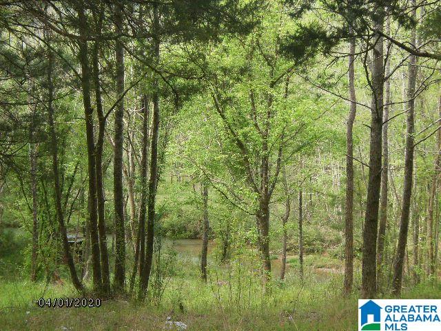Pendley Creek Road, Unit 7 Carbon Hill, AL 35549 - Photo 4 of 10