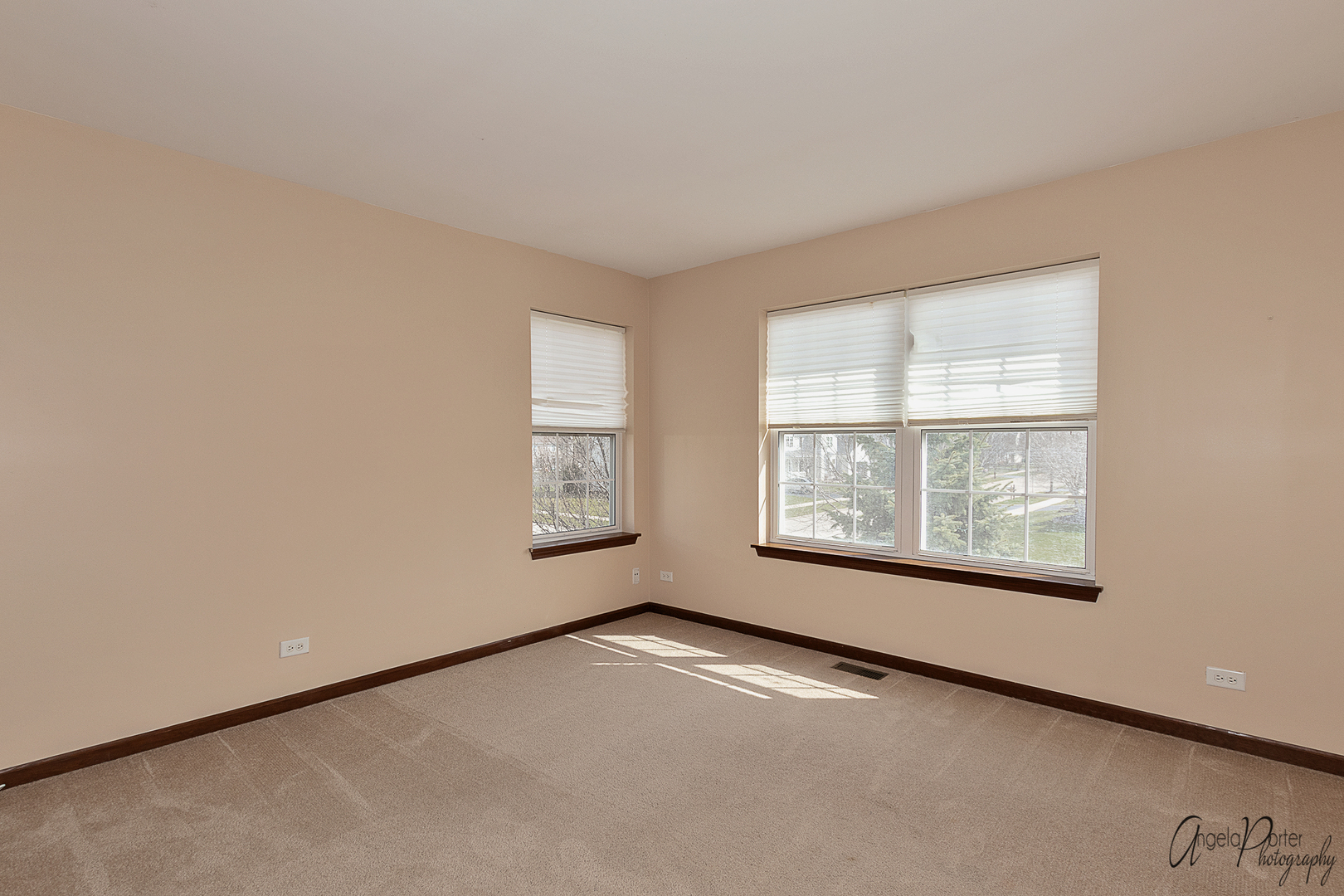 2350 Fishhook Way Wauconda, IL 60084 - Photo 19 of 28