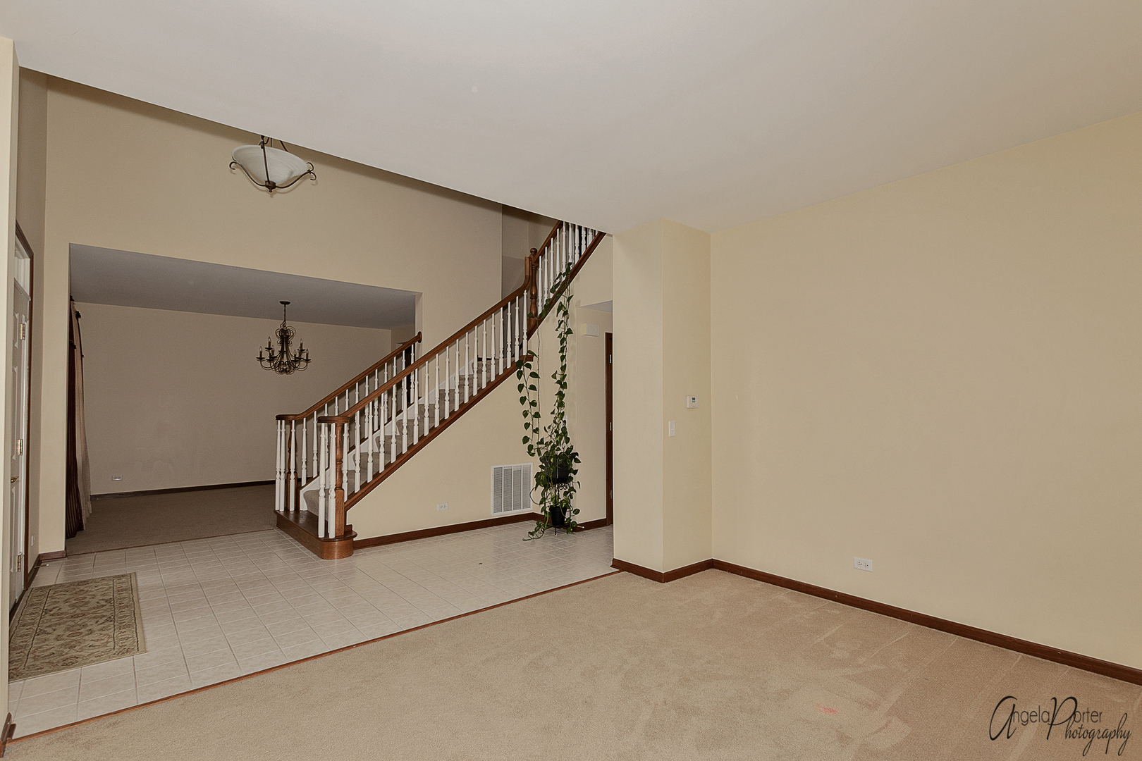 2350 Fishhook Way Wauconda, IL 60084 - Photo 3 of 28