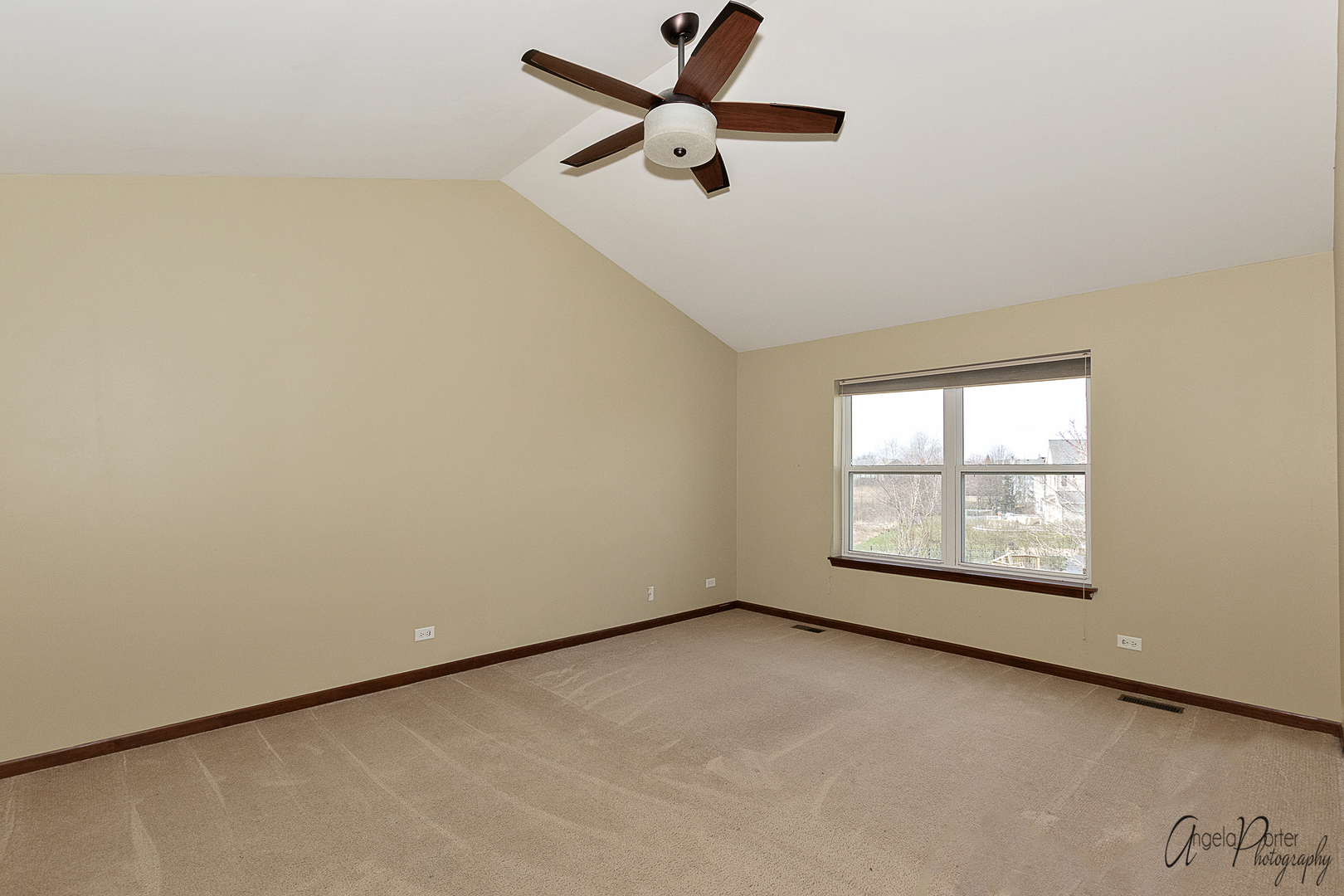 2350 Fishhook Way Wauconda, IL 60084 - Photo 23 of 28