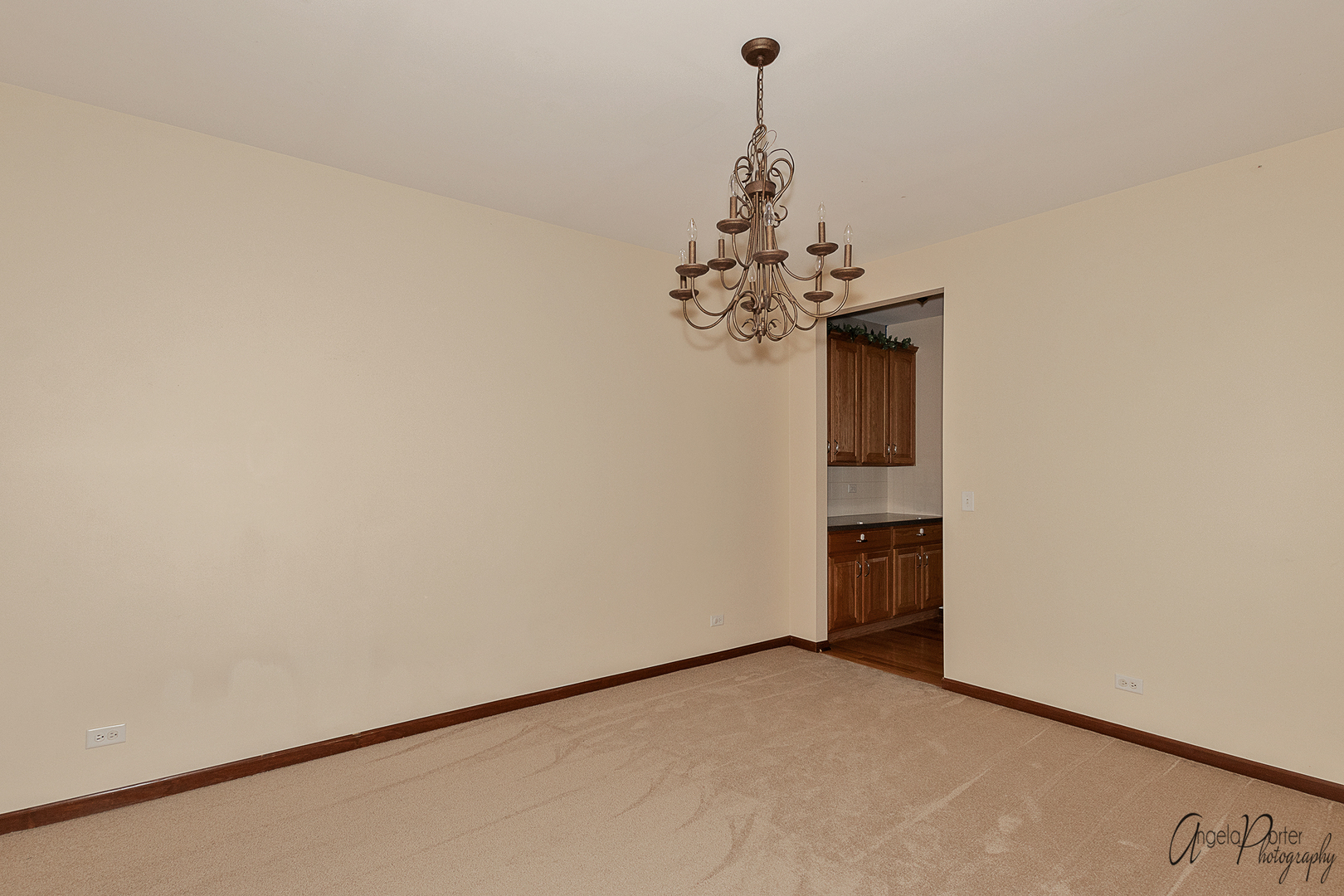 2350 Fishhook Way Wauconda, IL 60084 - Photo 6 of 28