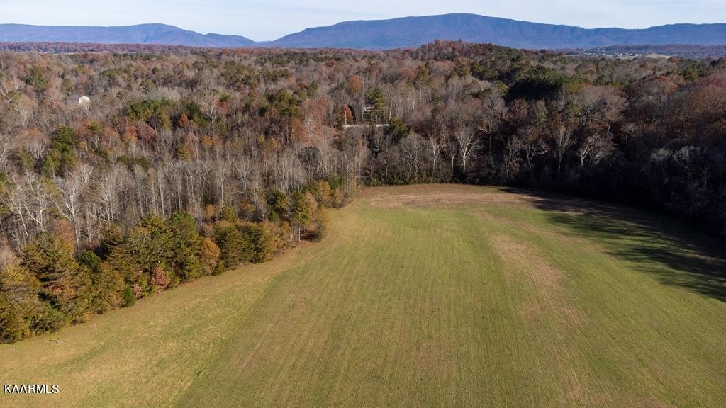 3152 Athens Road Calhoun, TN 37309 - Photo 13 of 23 Gallery Image 13