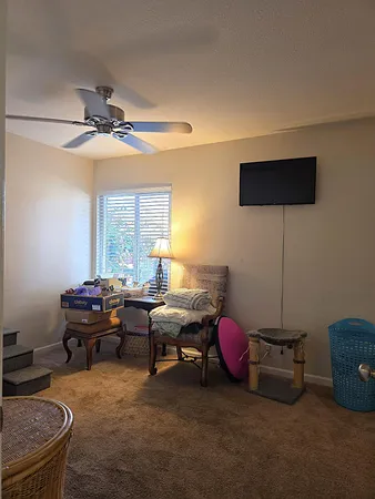 a livingroom with furniture and a window