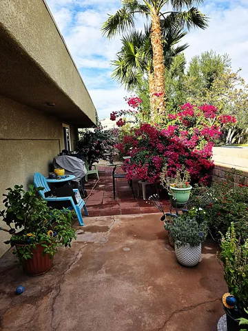 a store filled with lots of different kinds of flowers