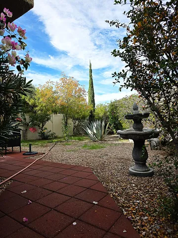 a view of a park that has a tree