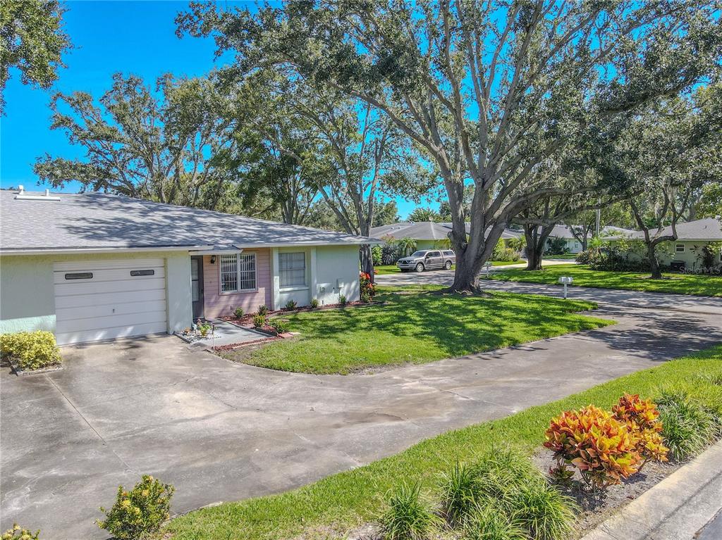 1131 Orange Tree Circle West, Unit C Palm Harbor, FL 34684 - Photo 1 of 28 a front view of a house with a yard and potted plants