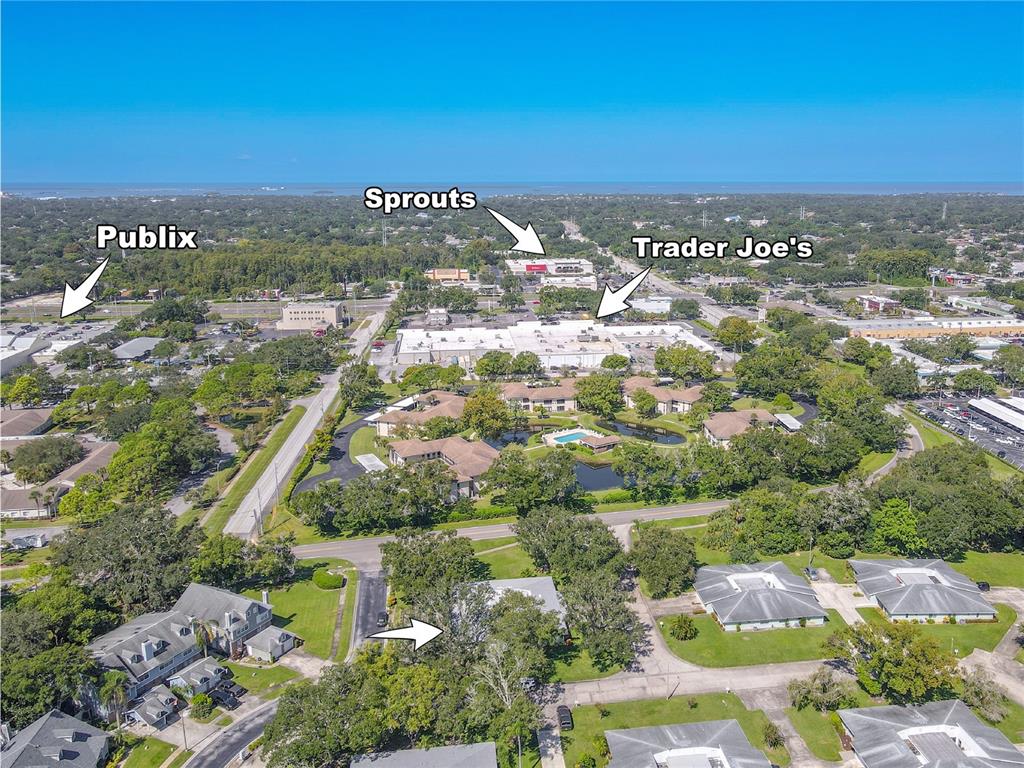 1131 Orange Tree Circle West, Unit C Palm Harbor, FL 34684 - Photo 5 of 28 an aerial view of city and lake