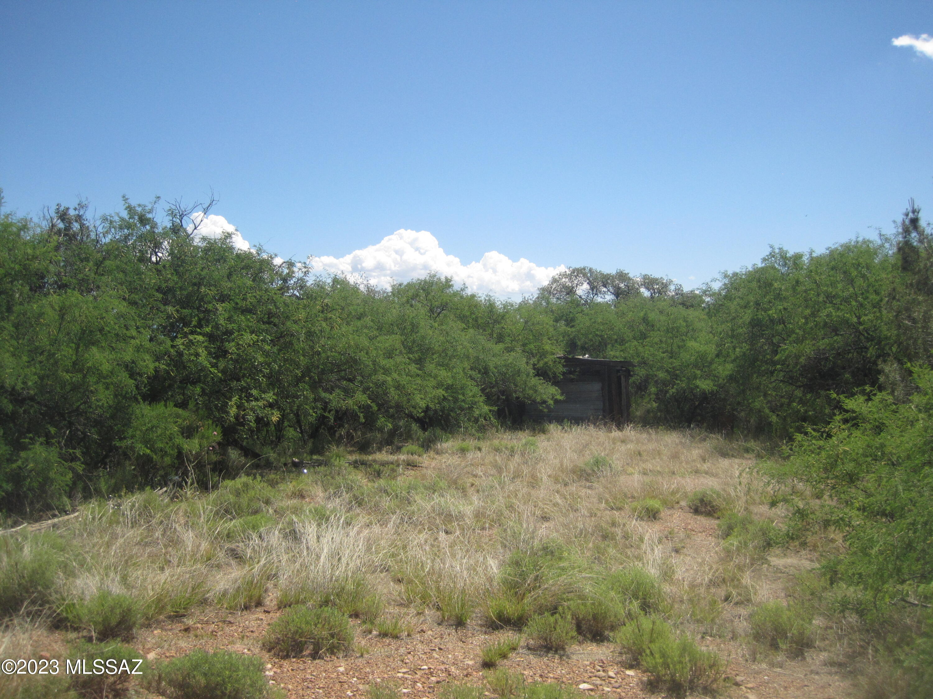 14900 North Oracle Control Road Tucson, AZ 85739 - Photo 10 of 32 Gallery Image 10