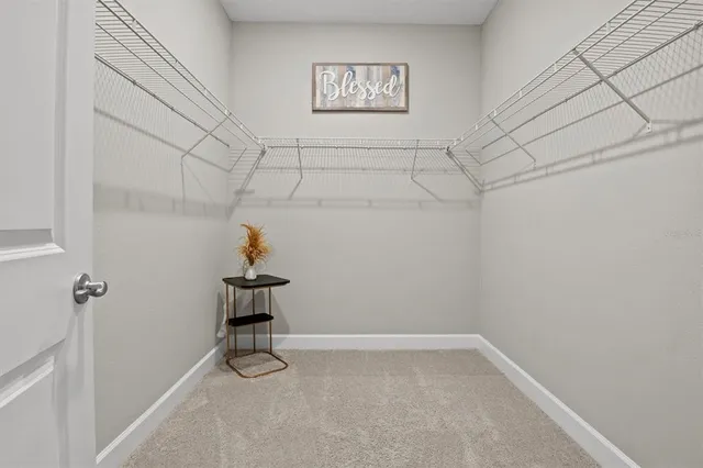 a view of a room with racks on the wall