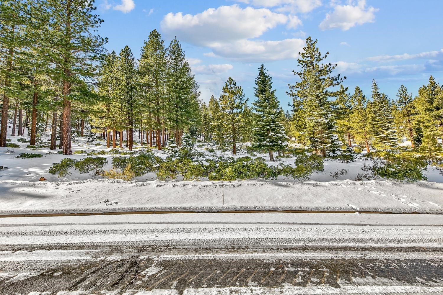 135 West Jeffrey Pine Road Reno, NV 89511 - Photo 8 of 21 Gallery Image 8