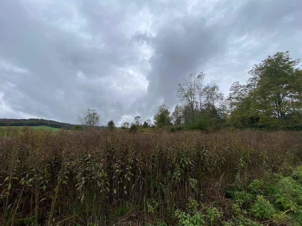 Tbd Reedy Creek Road, Unit 5 Bristol, VA 24202 - Photo 7 of 8 Gallery Image 7