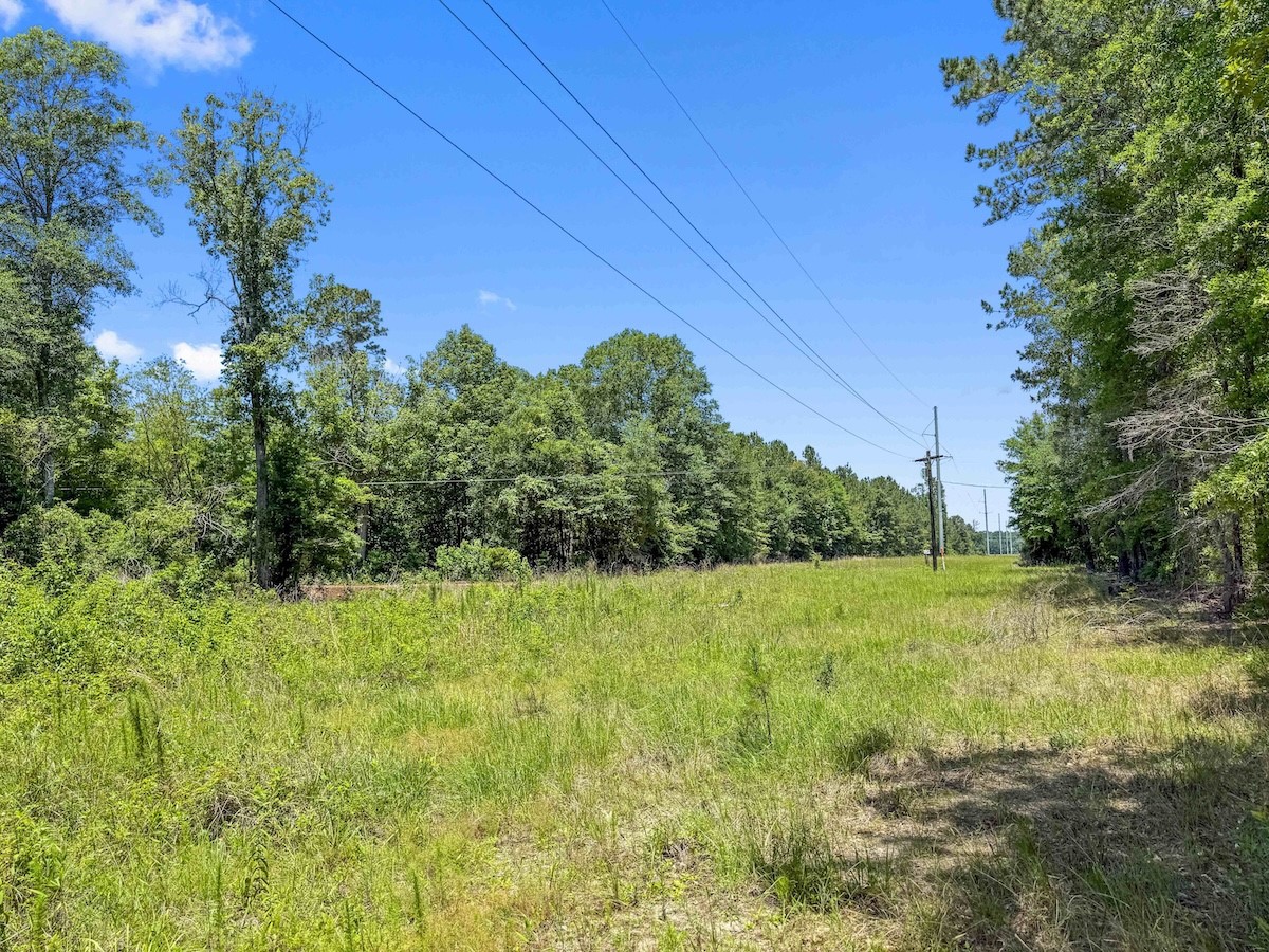 Tbd Hickman Road Burkeville, TX 75932 - Photo 40 of 45