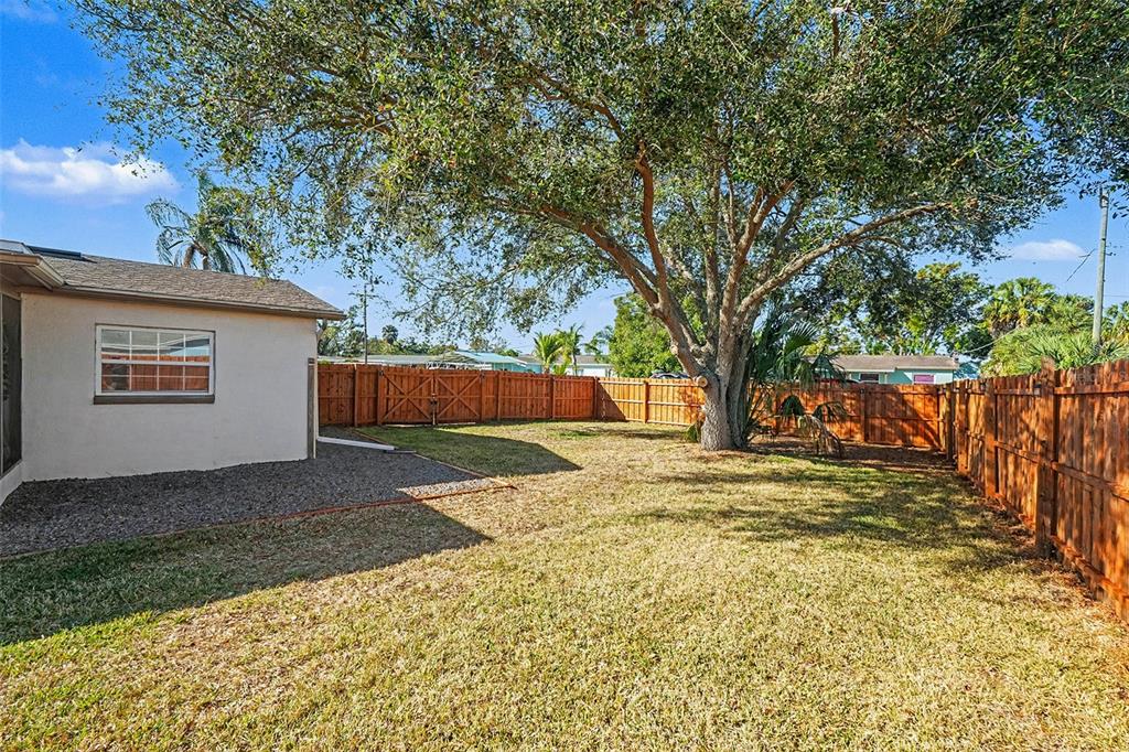 557 Flame Tree Drive Apollo Beach, FL 33572 - Photo 27 of 31 a view of a yard with large tree