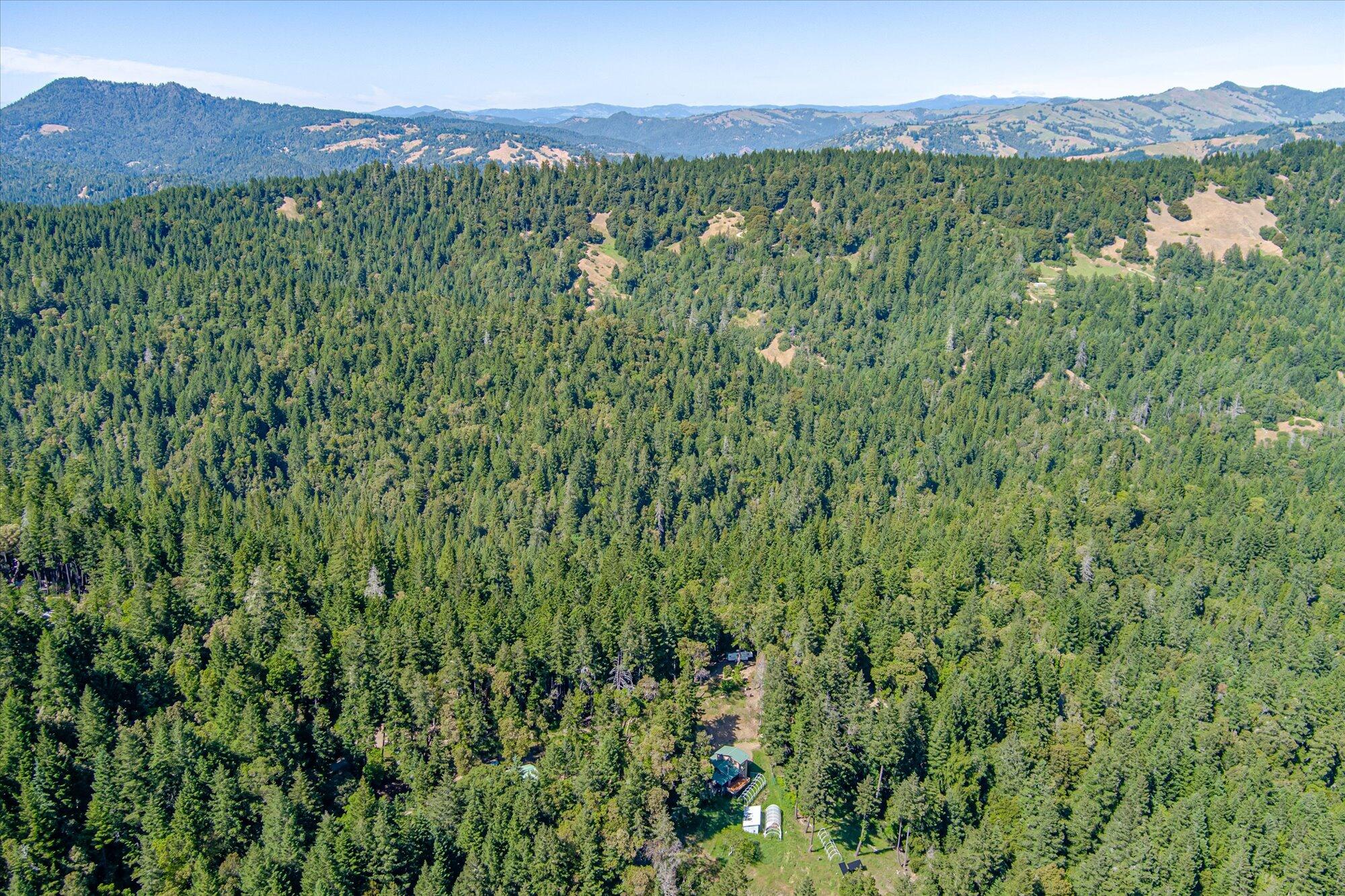 4001 Old Briceland Road Garberville, CA 95542 - Photo 80 of 93