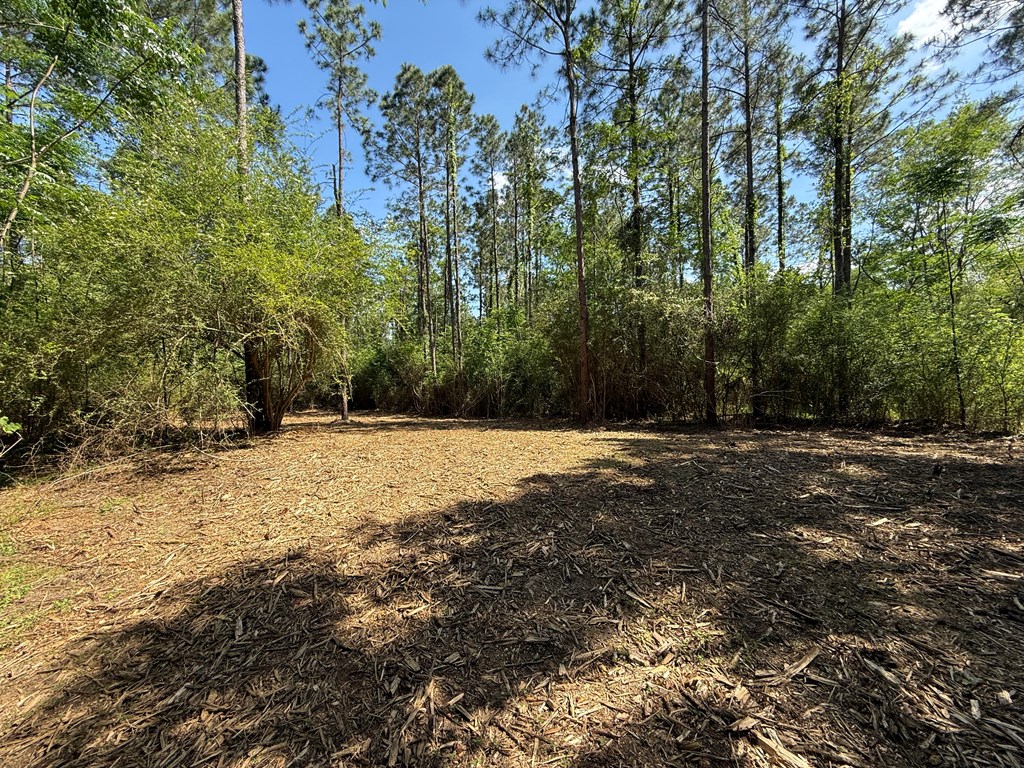 0 Grant Road Slocomb, AL 36375 - Photo 12 of 15 Gallery Image 12
