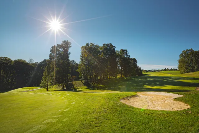 a view of yard with swimming pool and trees