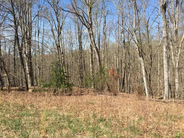 a view of wooden fence and trees