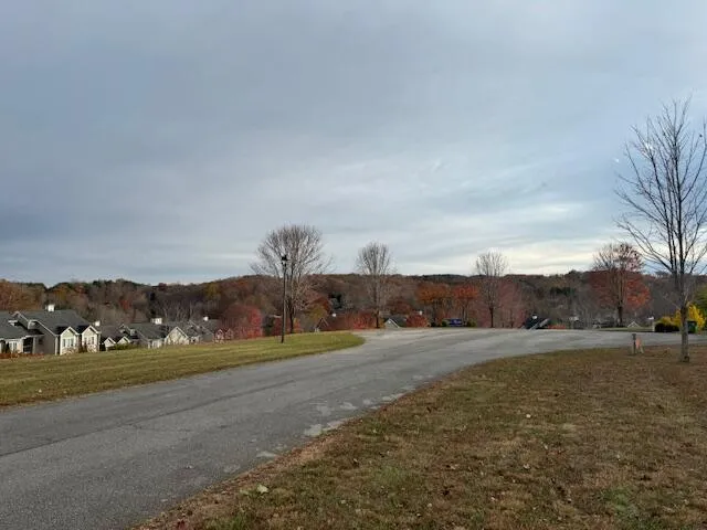 a view of dirt road with large trees