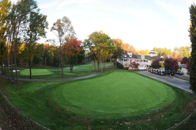 a view of a park with large trees