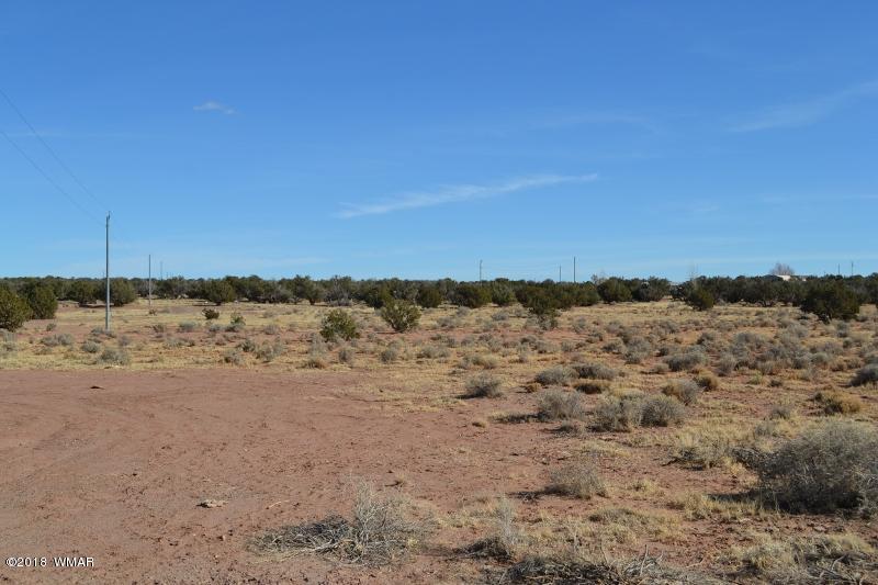 8473 Navajo Lane Snowflake, AZ 85937 - Photo 5 of 11 a view of ocean with a mountain in the background