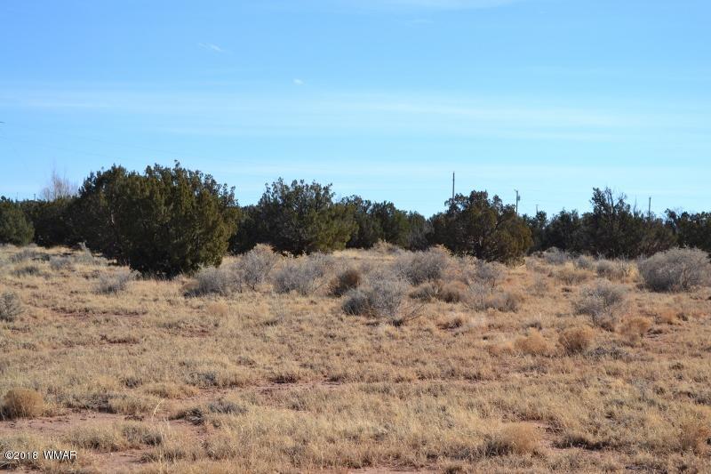 8473 Navajo Lane Snowflake, AZ 85937 - Photo 7 of 11 a view of a dry yard