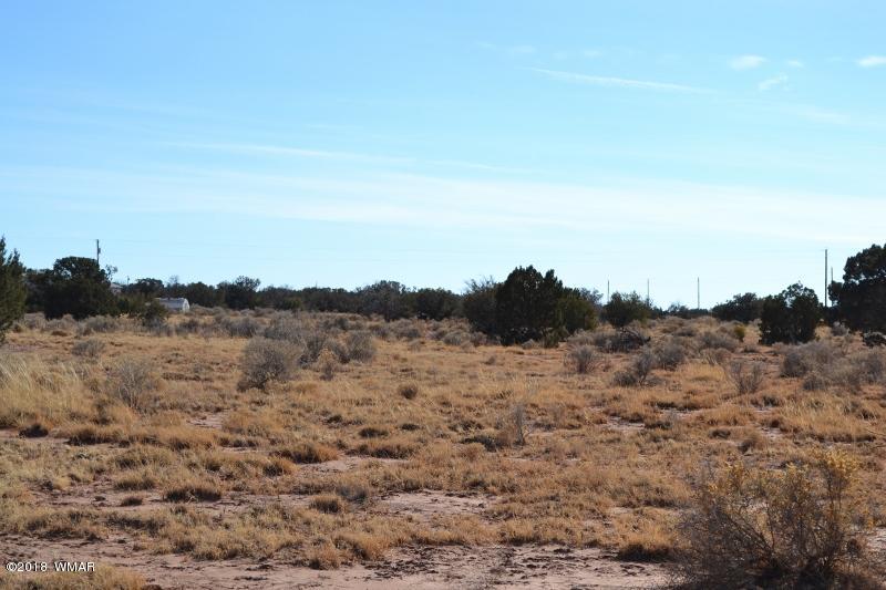 8473 Navajo Lane Snowflake, AZ 85937 - Photo 8 of 11 a view of mountain view with sky