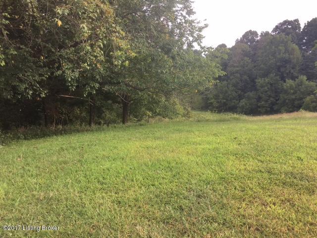 2941 Yates Chapel Road Cecilia, KY 42724 - Photo 30 of 31 IMG_3926