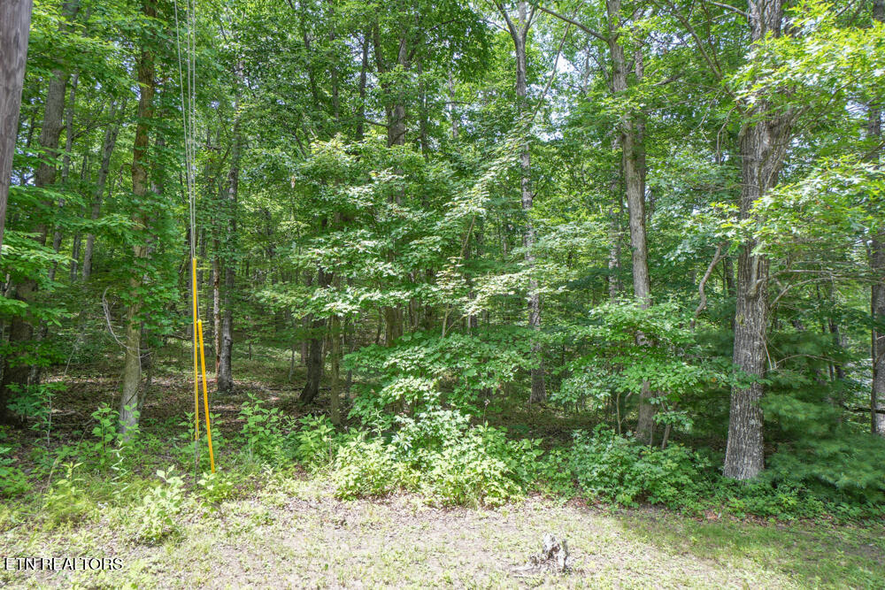 DSC00710