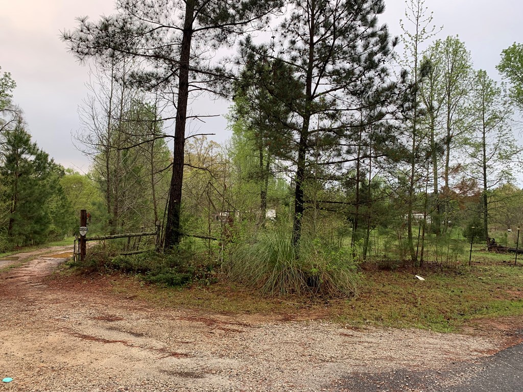 2554 County Line Road Cross Hill, SC 29332 - Photo 7 of 12 Gallery Image 7