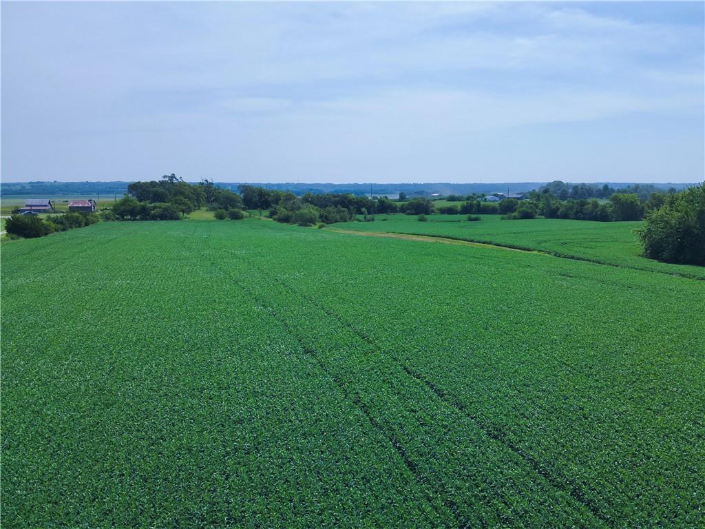 27890 Ivory Road Maryville, MO 64468 - Photo 6 of 15