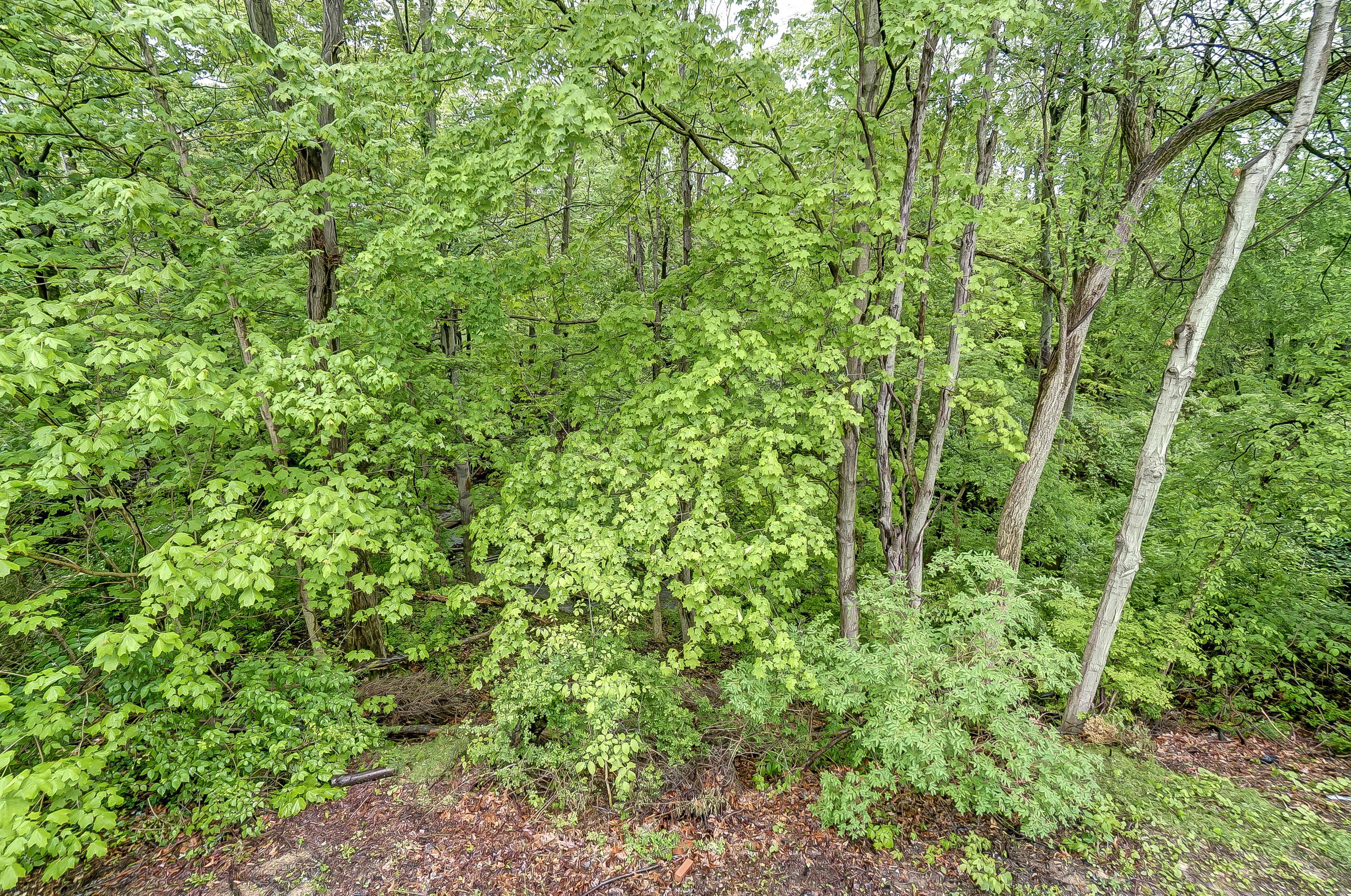 275 Ravine Ridge Drive North Powell, OH 43065 - Photo 35 of 38 Gallery Image 35