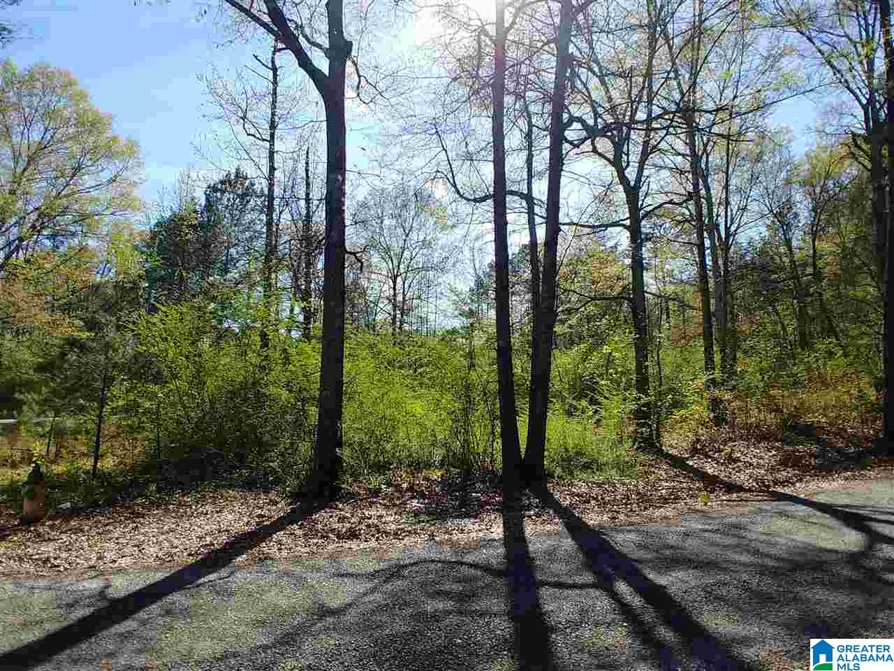 0 Roberts Mill Pond Road, Unit 1 39 Pell City, AL 35128 - Photo 7 of 29