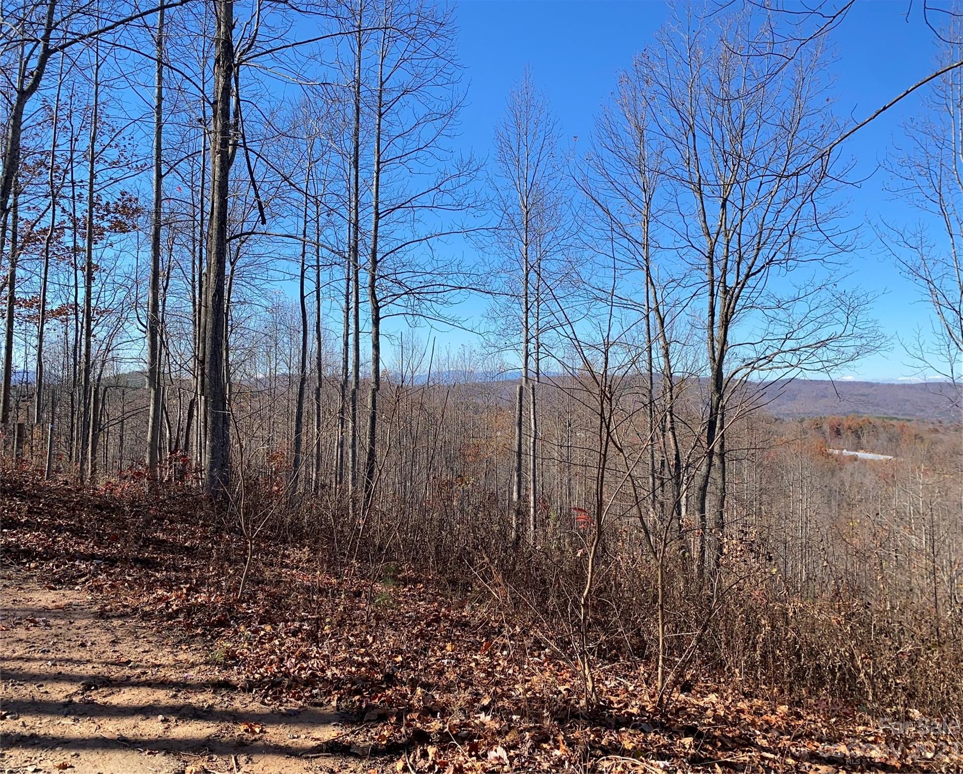 Tbd Meditation Rdg Dr Extension, Unit 43 Nebo, NC 28761 - Photo 5 of 15