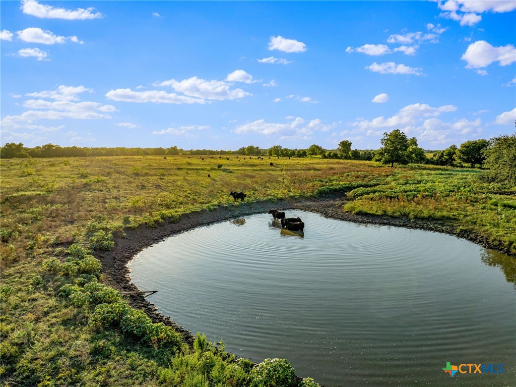 19587 Vilas Road Holland, TX 76534 - Photo 2 of 32 a view of a lake from a yard