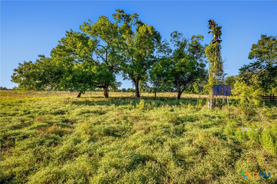 19587 Vilas Road Holland, TX 76534 - Photo 32 of 32 a view of yard with green space