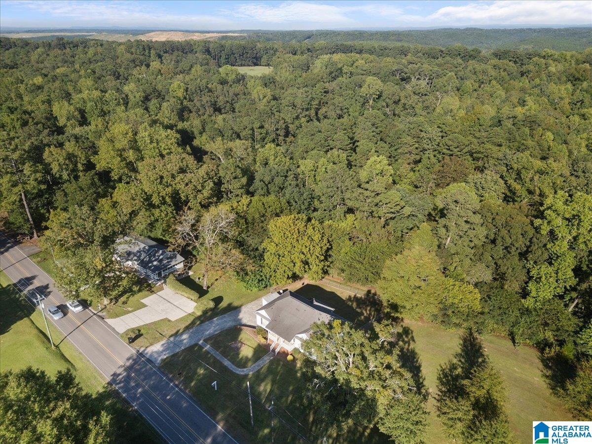 3641 Mt Olive Road Mount Olive, AL 35117 - Photo 27 of 35