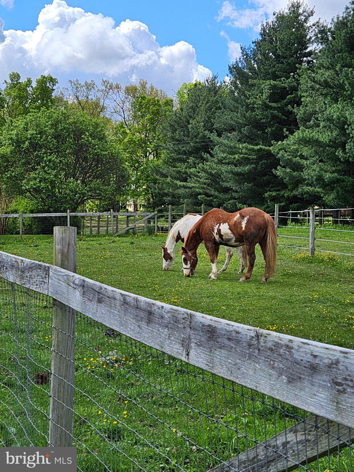 1720 East Deep Run Road Manchester, MD 21102 - Photo 15 of 37 Gallery Image 15