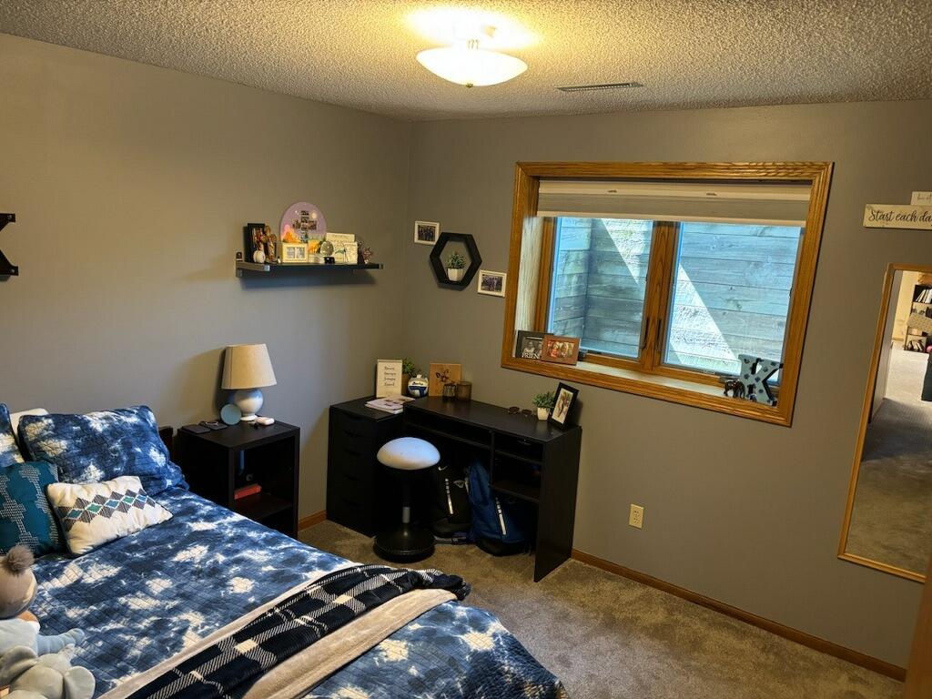 409 Sundown Drive Avon, MN 56310 - Photo 10 of 17