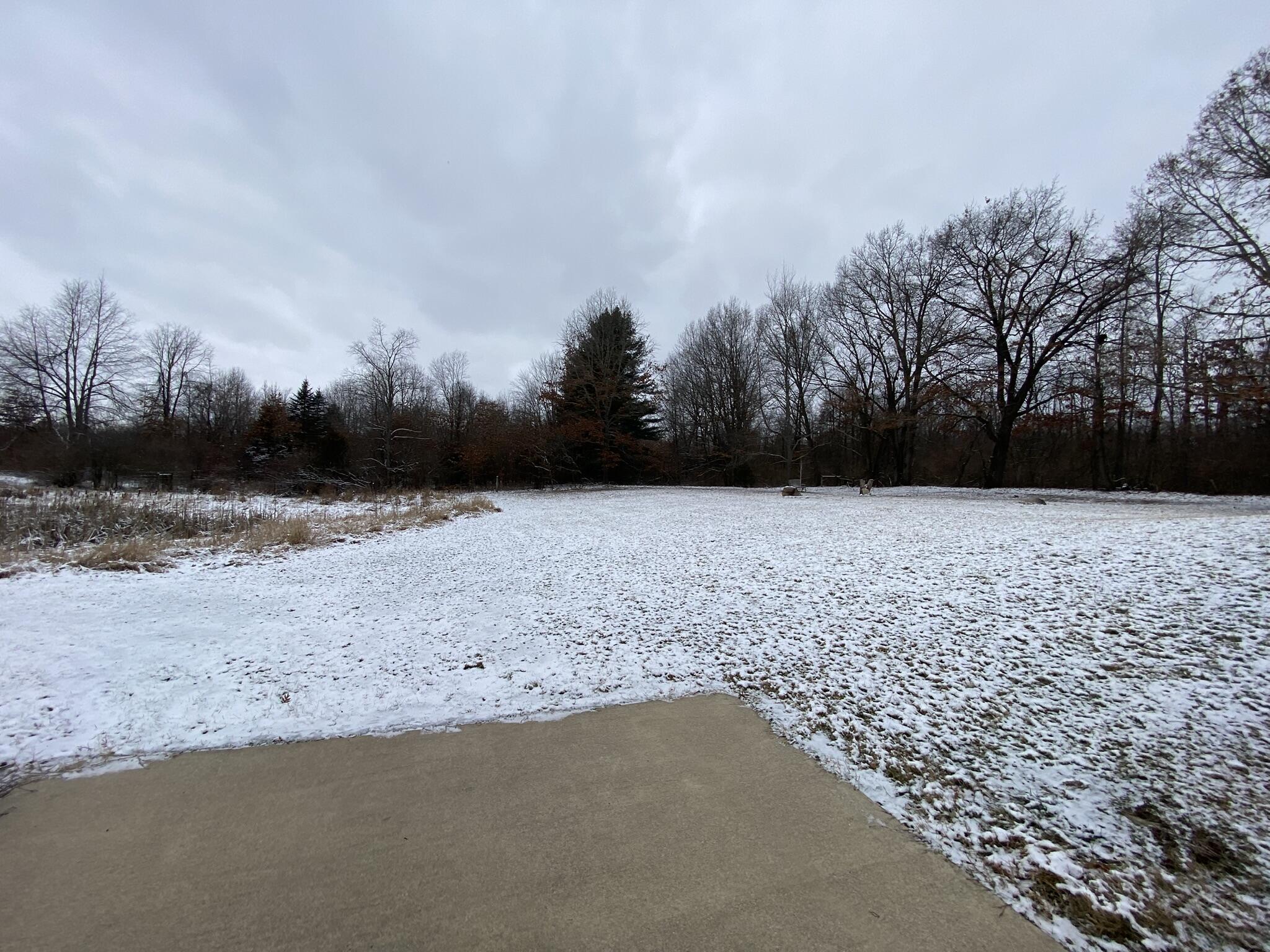2500 Doty Road Osseo, MI 49266 - Photo 31 of 34 IMG_2855