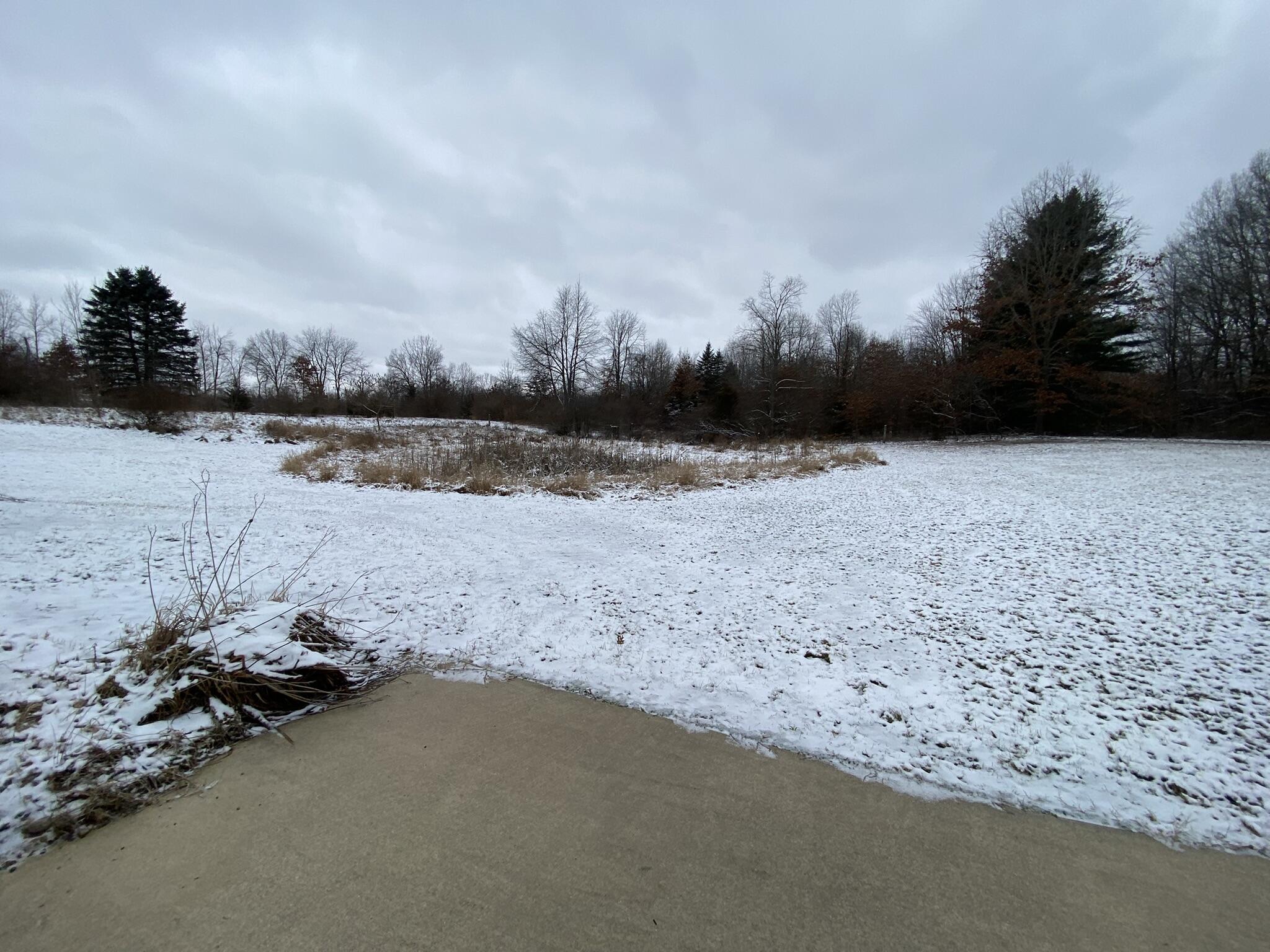 2500 Doty Road Osseo, MI 49266 - Photo 32 of 34 IMG_2856