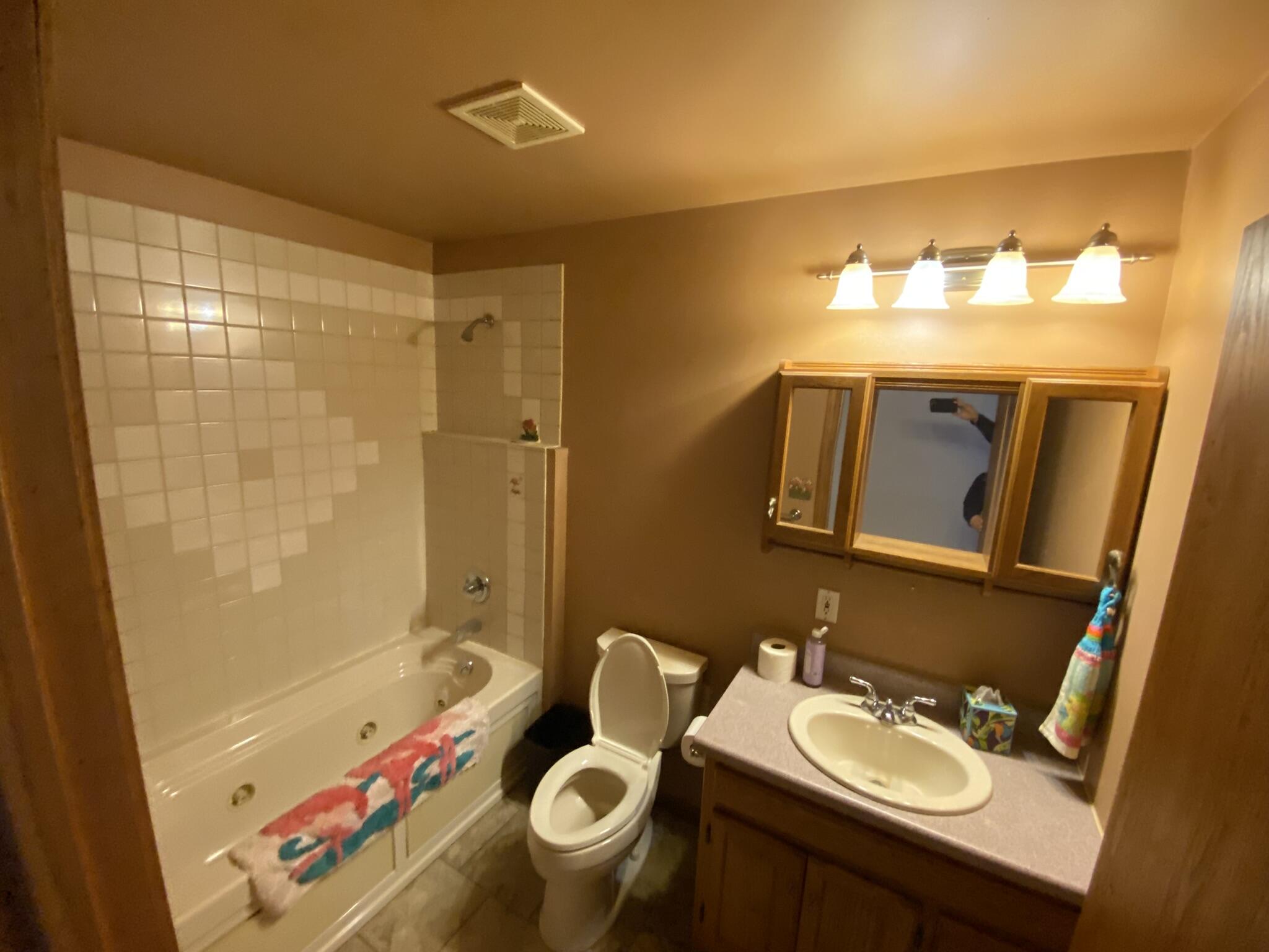 2500 Doty Road Osseo, MI 49266 - Photo 6 of 34 IMG_2843