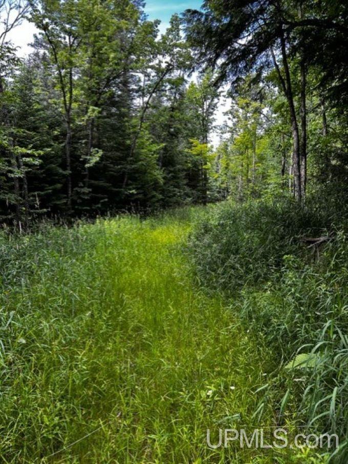 Tbd Tbd Airport Road Ironwood, MI 49938 - Photo 3 of 17