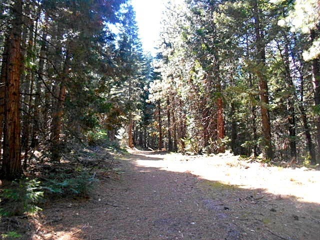 Lot 4 Off Westerly Deetz Road Rd Mount Mount Shasta, CA 96067 - Photo 3 of 11 Gallery Image 3