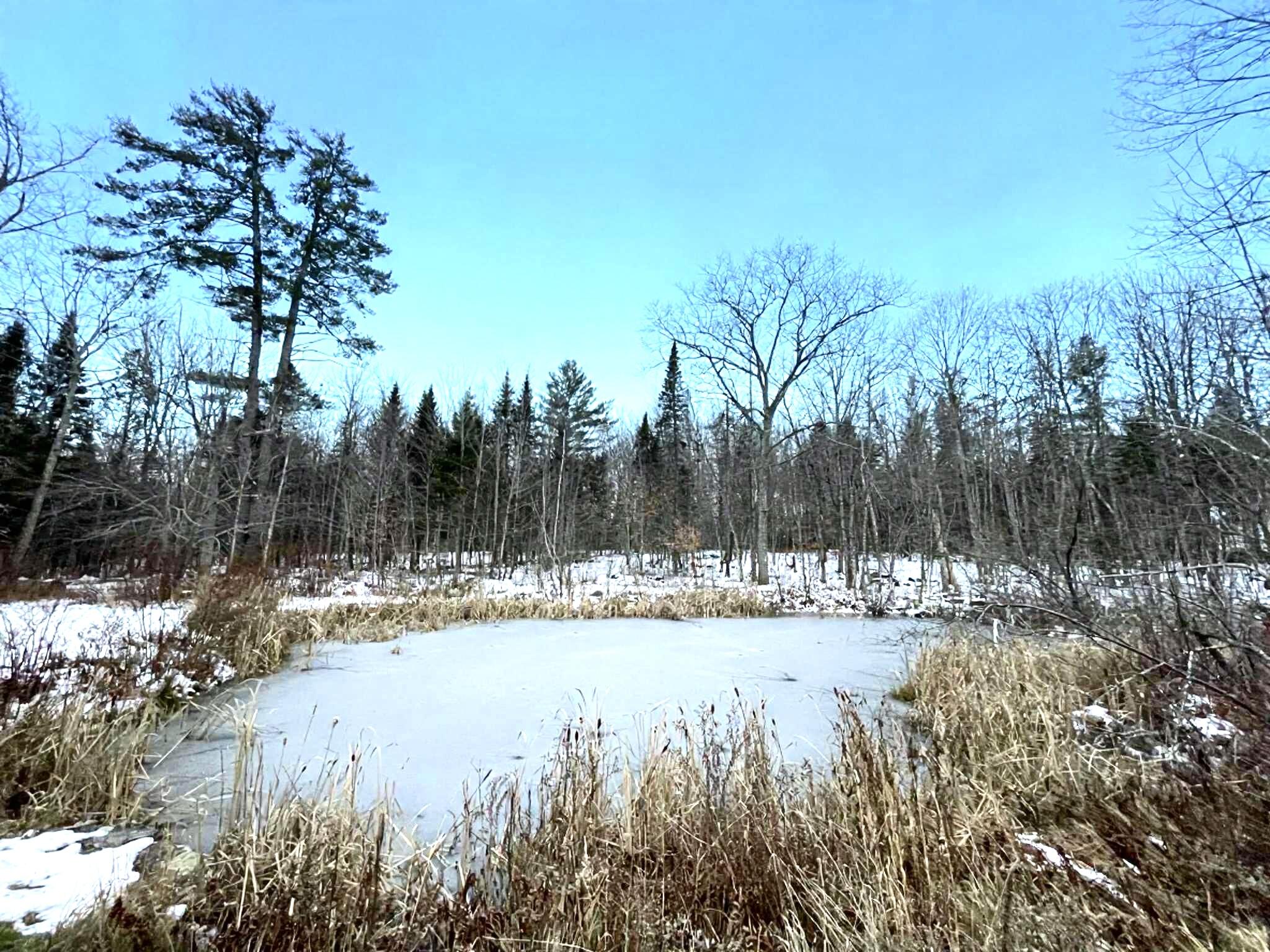 728 Sebec Village Road Sebec, ME 04481 - Photo 12 of 55 Pond