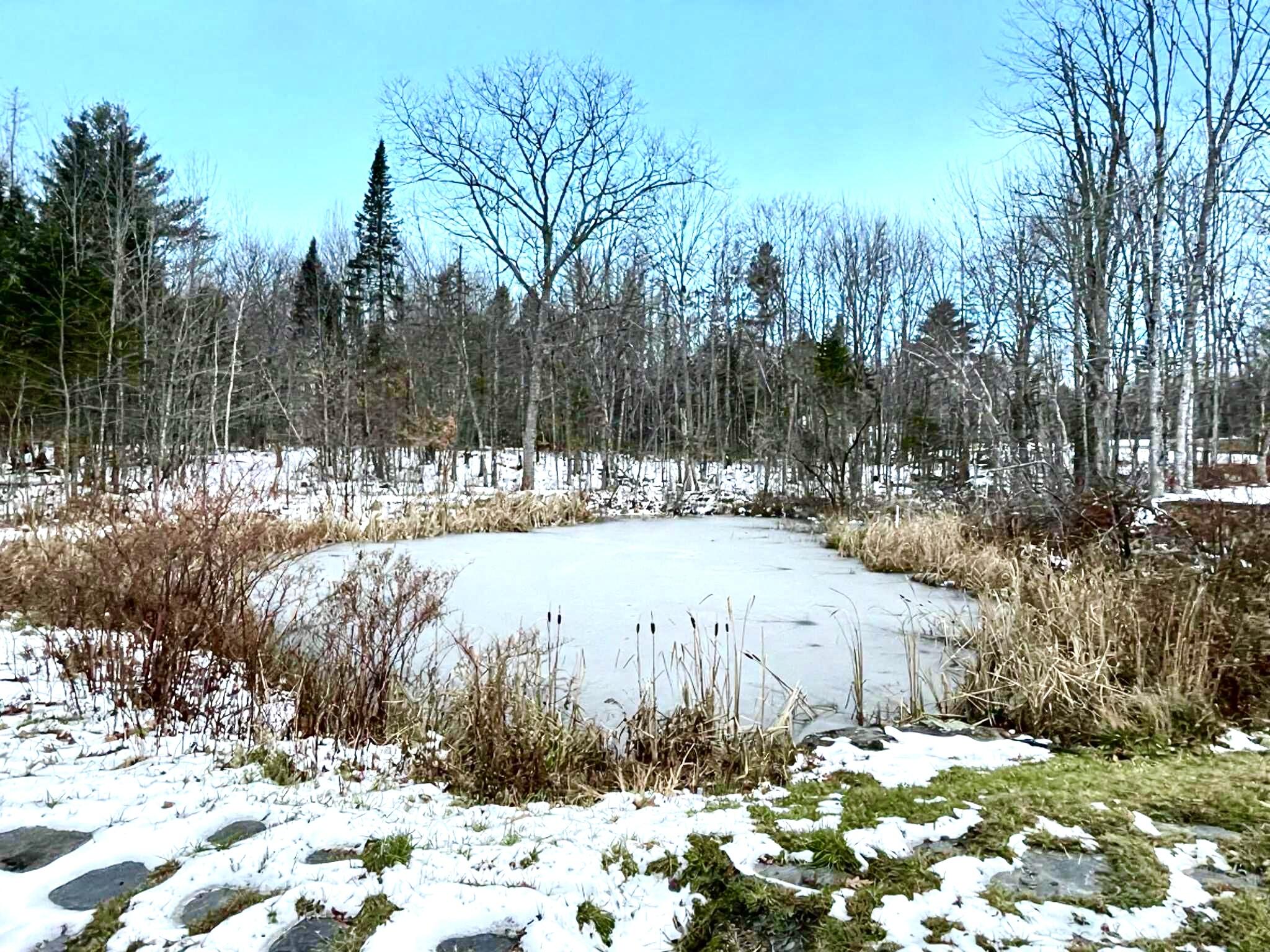728 Sebec Village Road Sebec, ME 04481 - Photo 13 of 55 Pond