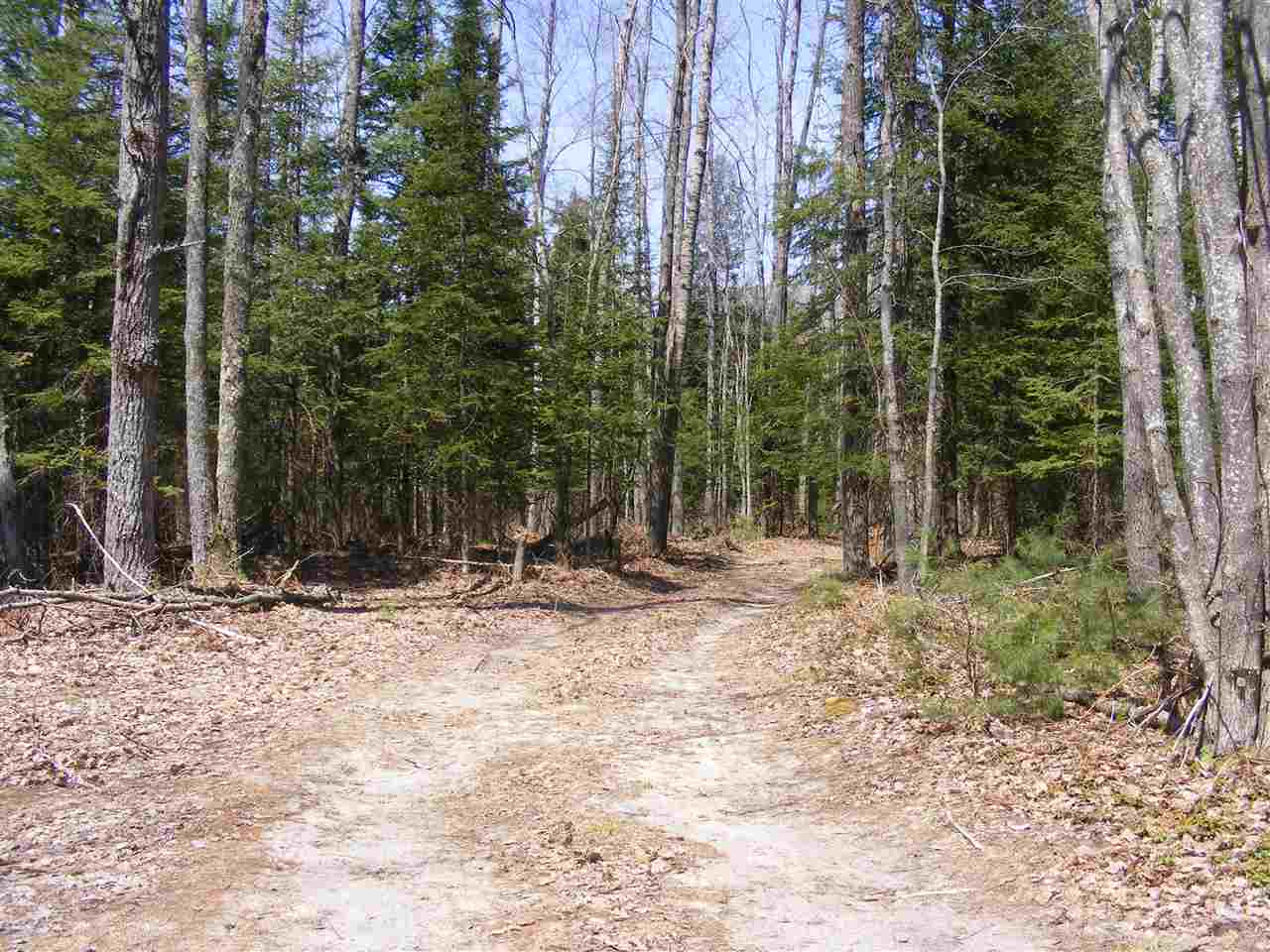 2137 East 12 Road Manton, MI 49663 - Photo 10 of 35 1845761-9.JPG