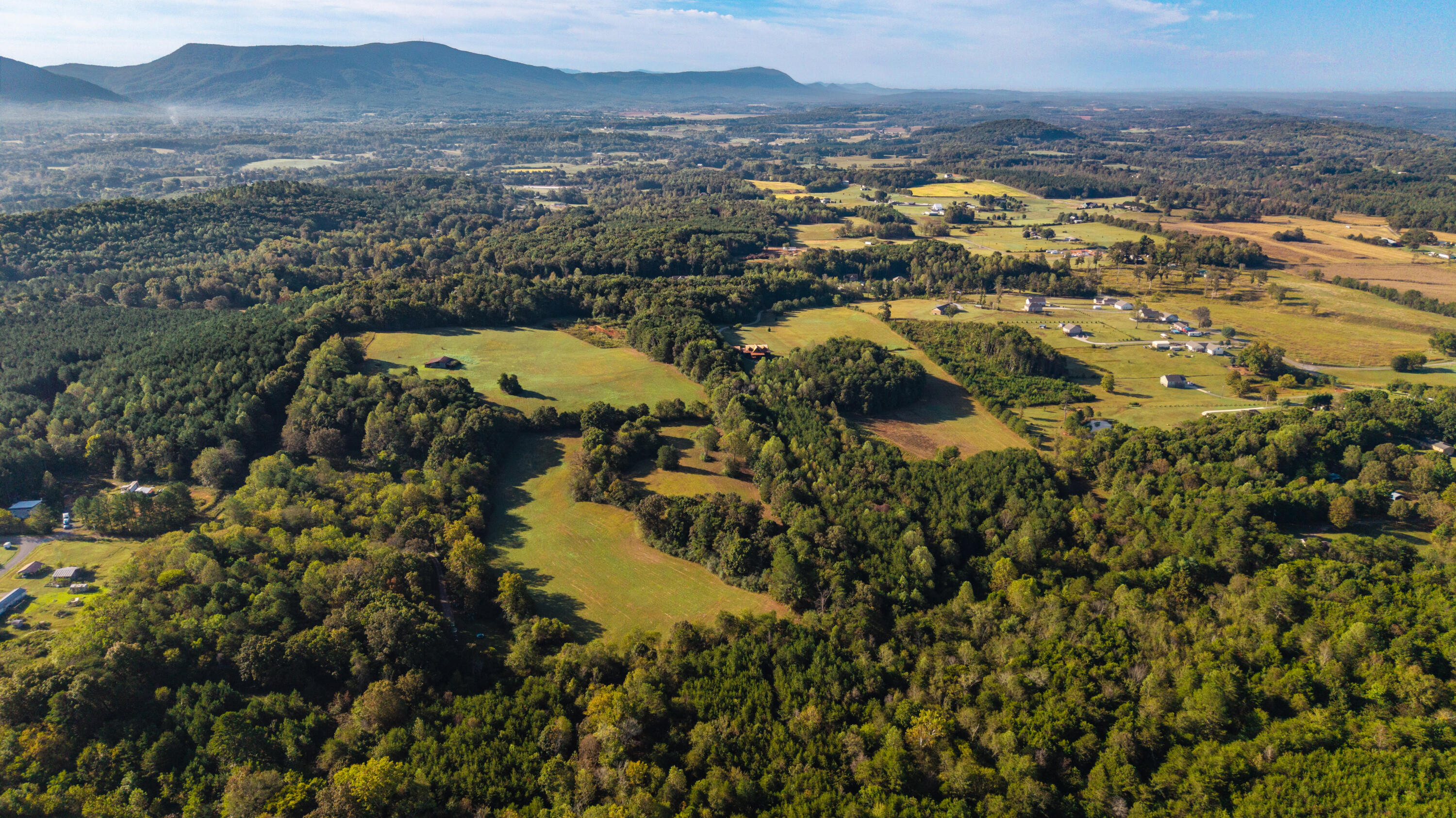 413 County Road 784 Etowah, TN 37331 - Photo 12 of 53 11