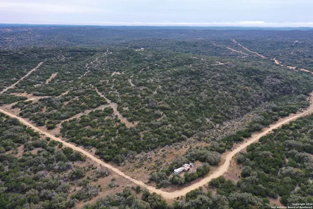 a view of a city with lush green forest